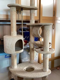 （分類：）位於 。 由 mandy_0201 提交（商品編號 1013452869，圖片 1）。簡介： 。