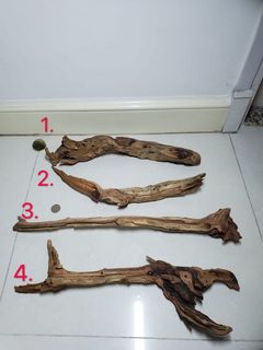 （分類：）位於 。 由 jezza852 提交（商品編號 1013526873，圖片 1）。簡介： 。