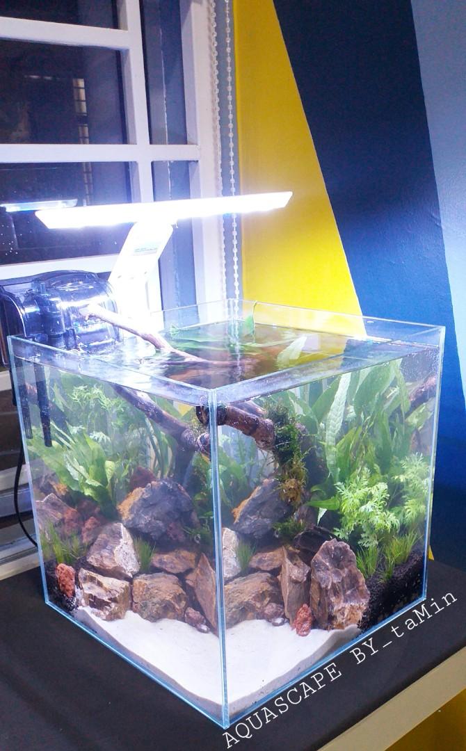Aquascape Aquarium Pet Supplies Pet Accessories On Carousell