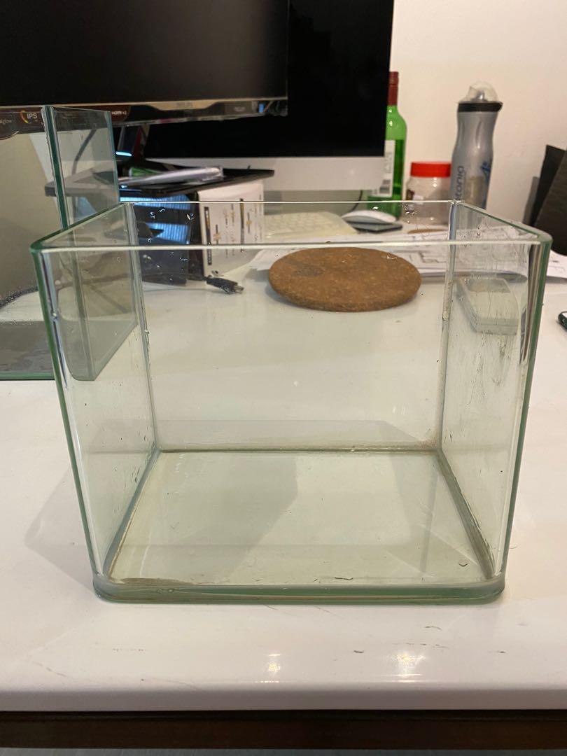 Betta curve fish tank, Pet Supplies, Homes & Other Pet Accessories on