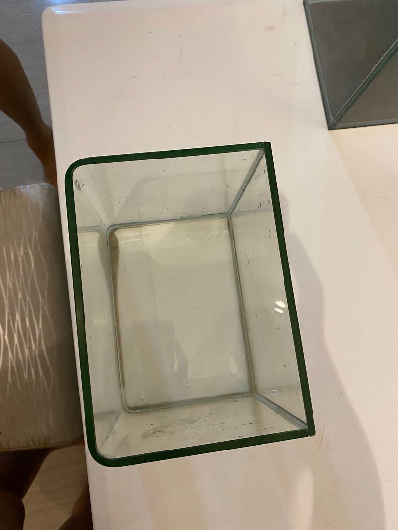 Betta curve fish tank, Pet Supplies, Homes & Other Pet Accessories on