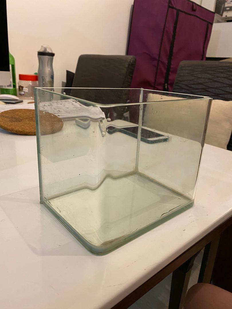 Betta curve fish tank, Pet Supplies, Homes & Other Pet Accessories on