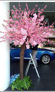 Cherry Blossom Sakura Tree