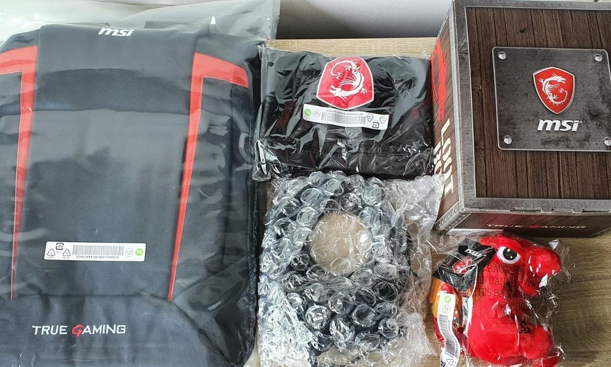 Msi gs65 bag online