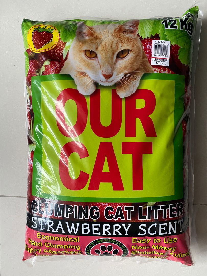 our cat litter