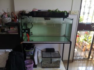 (Category: ) located in . Submitted by eason24 (Listing ID 1013787862, Image 1). Description: .