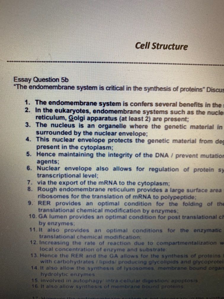 9744 H2 BIOLOGY RI SUMMARY NOTES + COMPILED ESSAYS BUNDLE SET, Hobbies