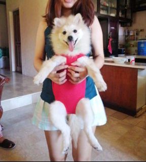 (Category: ) located in . Submitted by prelovedxoxo. (Listing ID 1013760820, Image 1). Description: .
