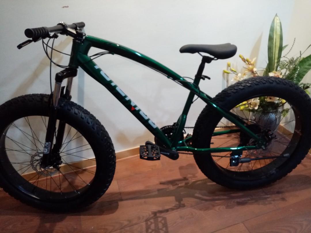 beinaiqi fat tire bike