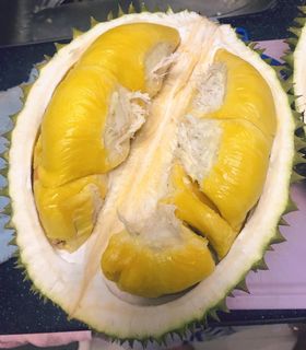 (Category: ) located in . Submitted by lkang1018 (Listing ID 1013780617, Image 1). Description: .