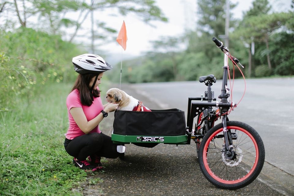 Side carts store for bikes