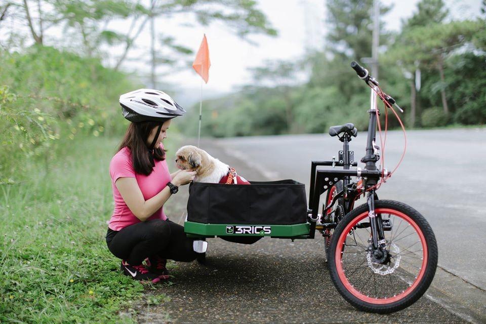 Pet Side Car for Bikes Bicycle Side Car for Pets (Category: Bicycles) located in Quezon City. Submitted by bikesmnl (Listing ID 1013667033, Image 1). Description: Pet Side Car for Bikes Red color left Adjustable, all sizes of bikes can be attached Material: Steel Carries upto 50kgs Small to Medium sized pets Made in the Philippines Pick up Cubao QC Shipping care of buyer via lalamove mpv COD arranged by buyer.