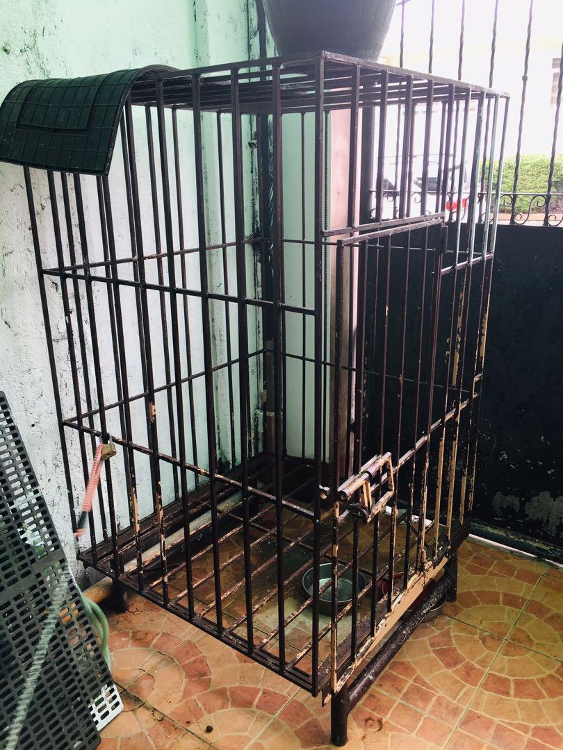 5x5x5 dog kennel online