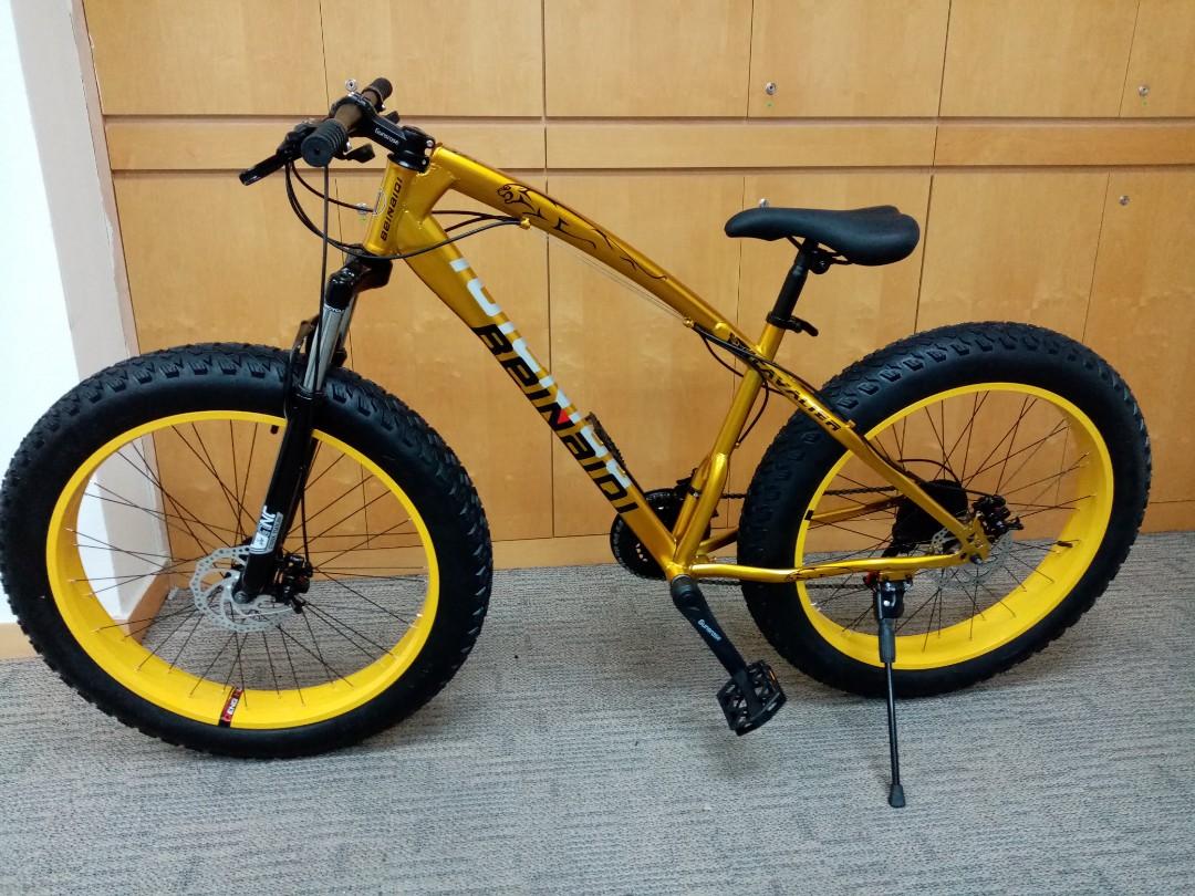 beinaiqi fat tire bike