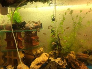(Category: ) located in . Submitted by ghinchin79 (Listing ID 1014031727, Image 1). Description: .