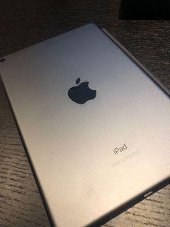 iPad Mini 5 256GB with AppleCare+ and Apple Pencil