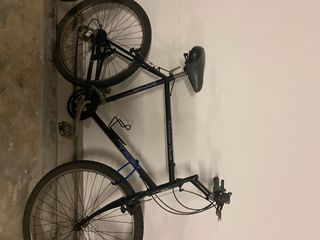 (Category: ) located in . Submitted by cmac24 (Listing ID 1013927012, Image 1). Description: .