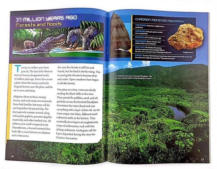 National Geographic Ladders (24 books), Books & Stationery, Children's Books on Carousell