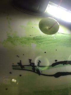 (Category: ) located in . Submitted by hopefully_ (Listing ID 1014093754, Image 1). Description: .