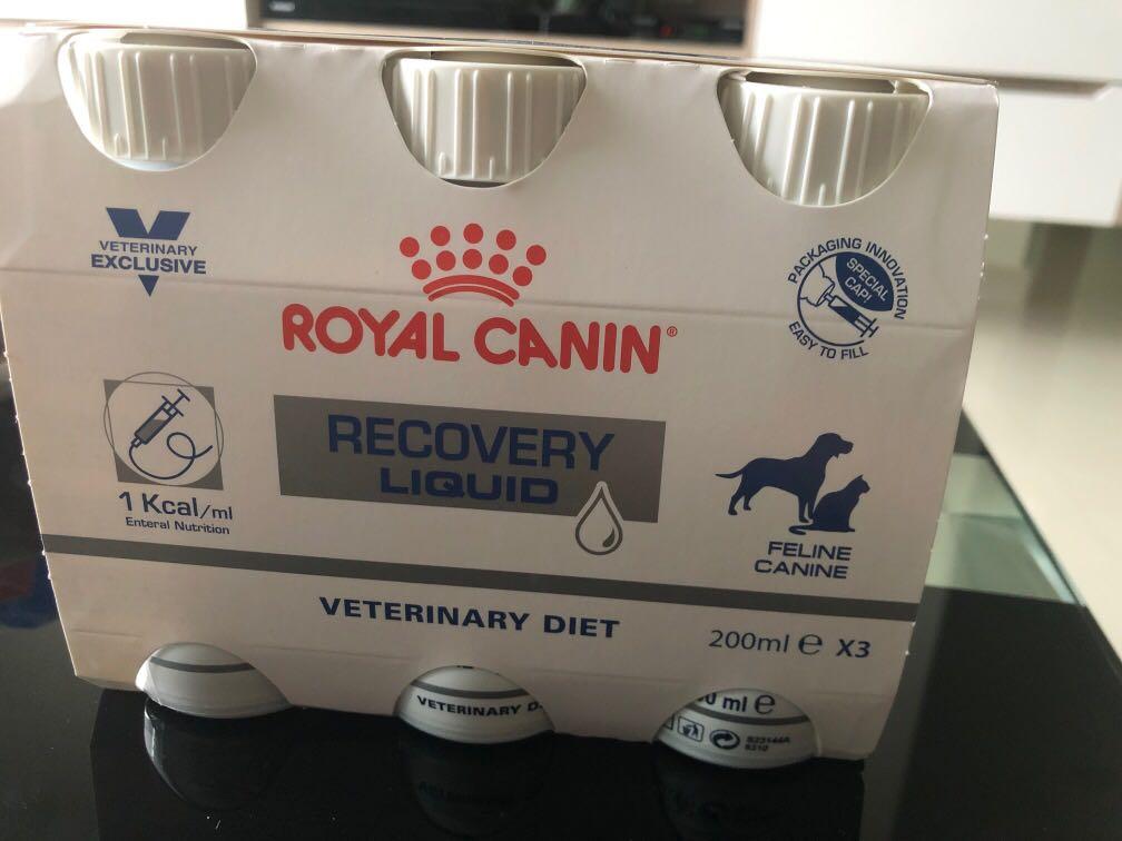 royal canin recovery liquid diet