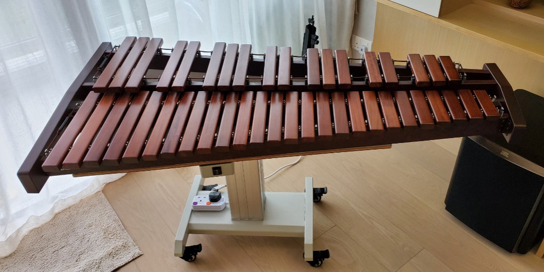 Saito xylophone cheap
