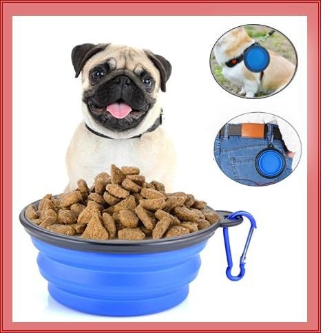 outdoor dog food bowl