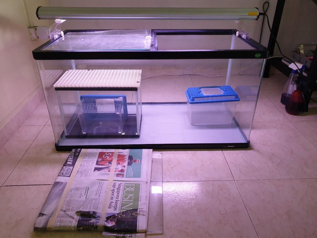 3ft x 1.5 ft Plastic Fish Tank, Pet Supplies, Homes & Other Pet