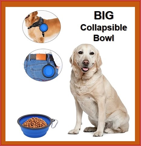 outdoor dog food bowl