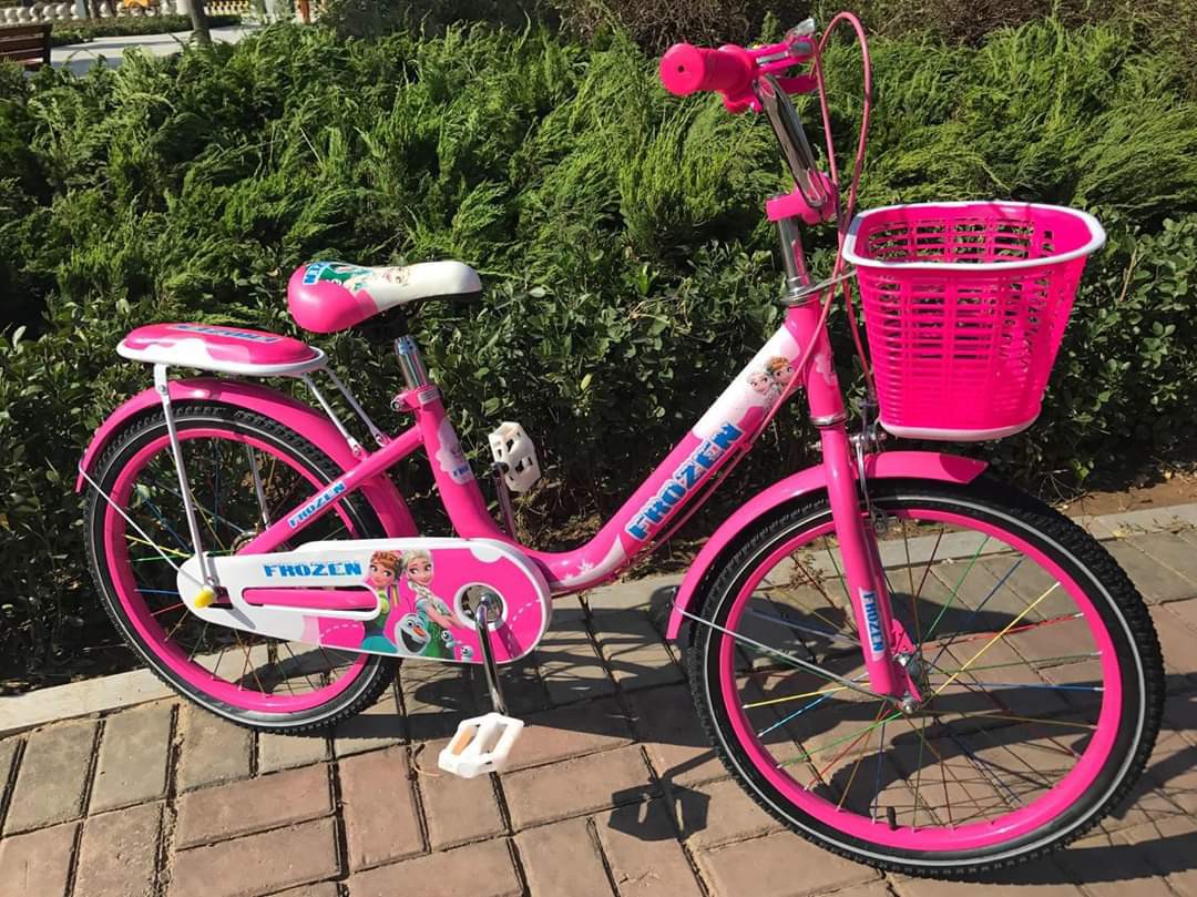 frozen bike with basket