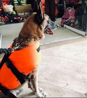 Dog Vest Cat vest life vest Flotation Device
