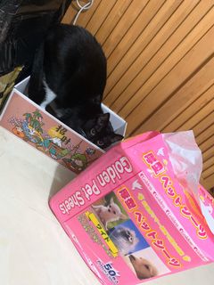 （分類：）位於 。 由 breeeathe 提交（商品編號 1014310249，圖片 1）。簡介： 。