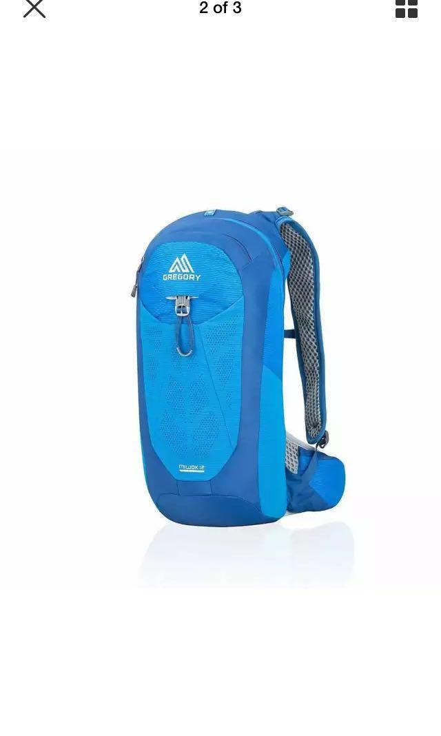 gregory running backpack