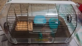 (Category: ) located in . Submitted by animaly (Listing ID 1014231653, Image 1). Description: .