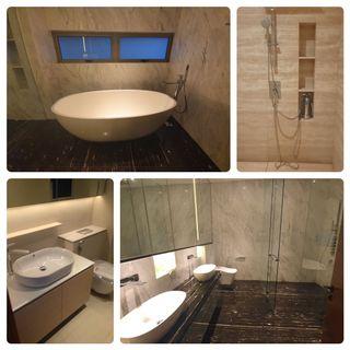 Toilet and sanitary replacement and installations!
