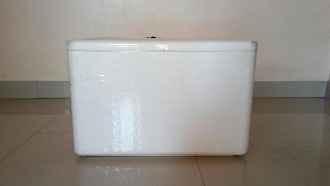 Styrofoam box (Category: Storage Boxes & Baskets) located in Quezon City. Submitted by salva.alva23 (Listing ID 1014132350, Image 3). Description: never been use...n stock Lang dito s bahay ..450 po Ang bili namin...