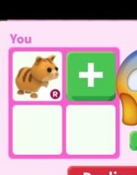 Adopt Me Ride Ginger Cat Toys Games Video Gaming Video Games On Carousell - roblox adopt me neon ginger cat