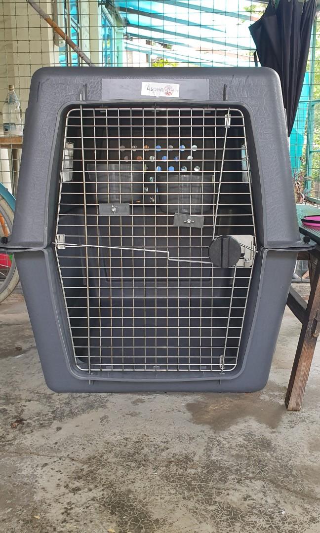 Aspen pet cage store