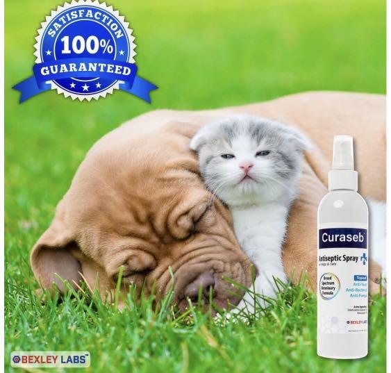 Curaseb outlet antiseptic spray