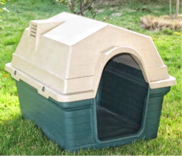 outdoor dog supplies