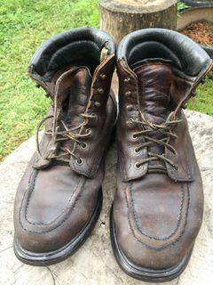 Redwing