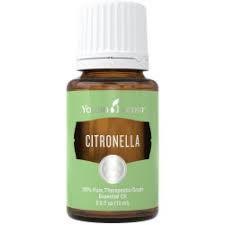 15mL Citronella Essential Oil (Category: Insect Repellents) located in Bontoc. Submitted by essentially_yours (Listing ID 1014740813, Image 1). Description: .