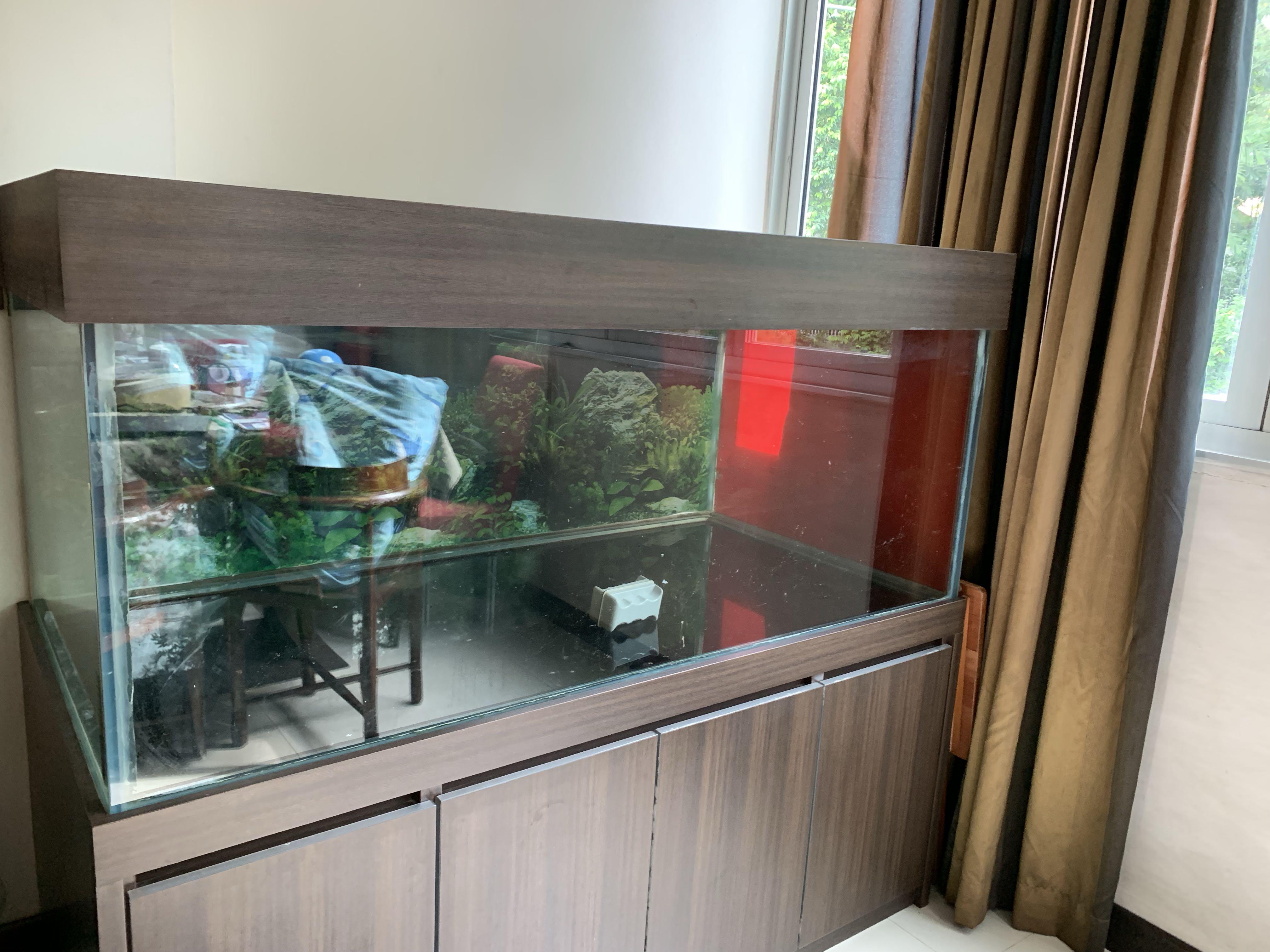 5ft fish tank with cabinet Pet Supplies Homes Other Pet