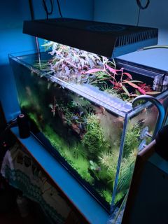 (Category: ) located in . Submitted by algaeboy (Listing ID 1014723807, Image 1). Description: .