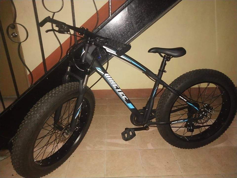 fat tire bike
