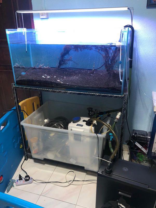 Fish Tank full set, Pet Supplies, For Fish, Fish Tanks on Carousell