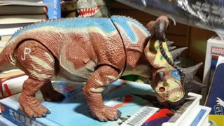 （分類：）位於 。 由 lamlam648 提交（商品編號 1014779314，圖片 1）。簡介： 。