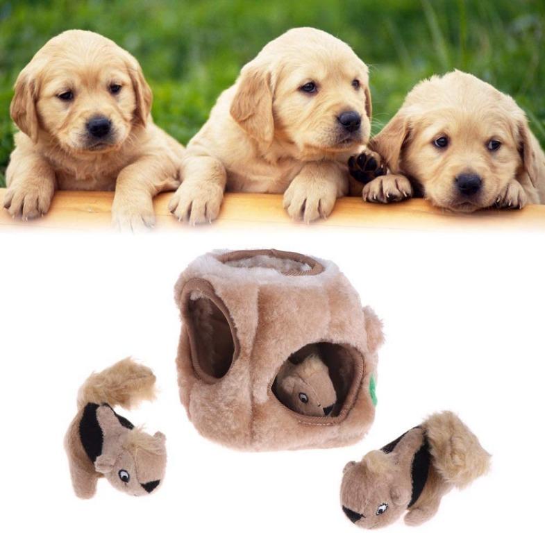 Hot Dorliona Pet Gog Cat Toys Squeaky Three Squirrel Hide Plush Squeak Toy Puzzle Dogs Outward Hound Interactive Toy Pets Su Pet Supplies For Dogs Dog Accessories On Carousell