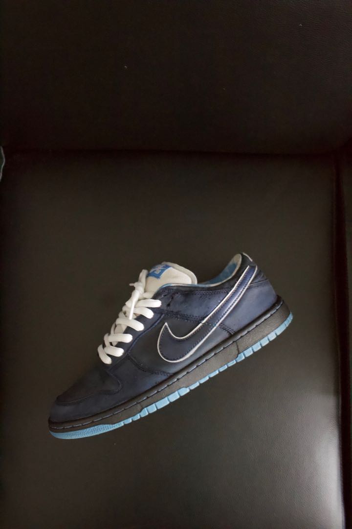 nike sb dunk low concepts