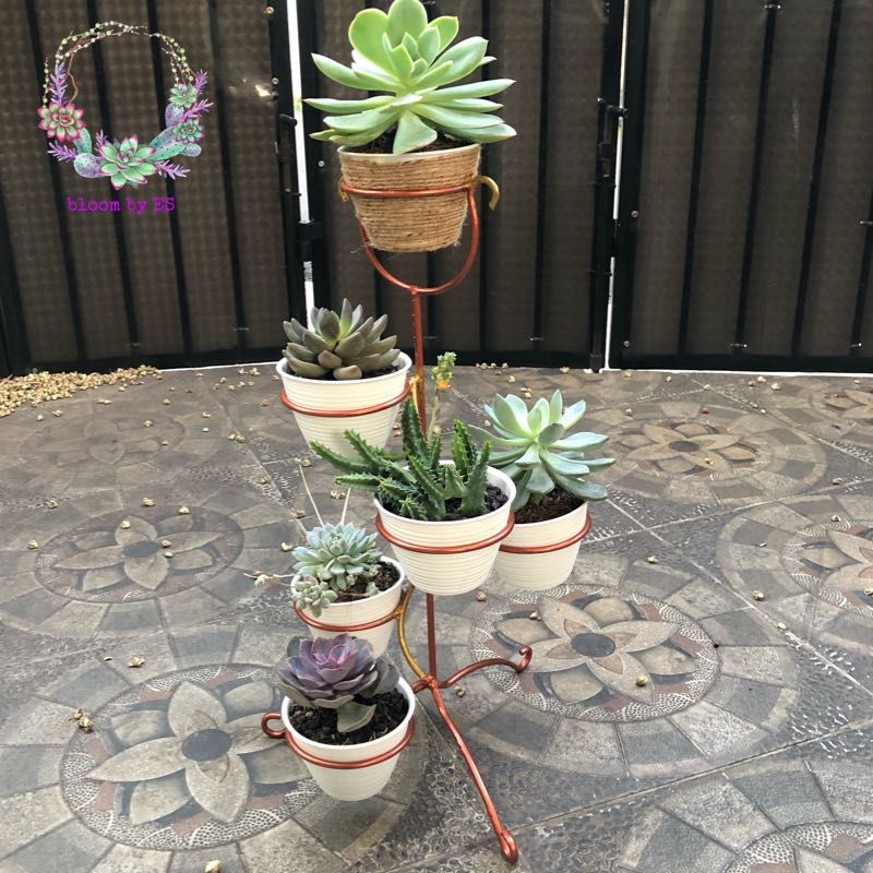 Rak Pot Kaktus Sukulen Besi 7 Tingkat Perkebunan Di Carousell