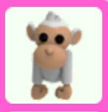 Sales Roblox Adopt Me Albino Monkey On Carousell
